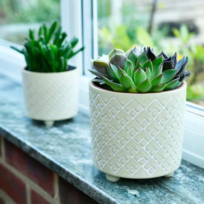 Burgon & Ball - Bilbao Pale Jade Glazed Pot - Large